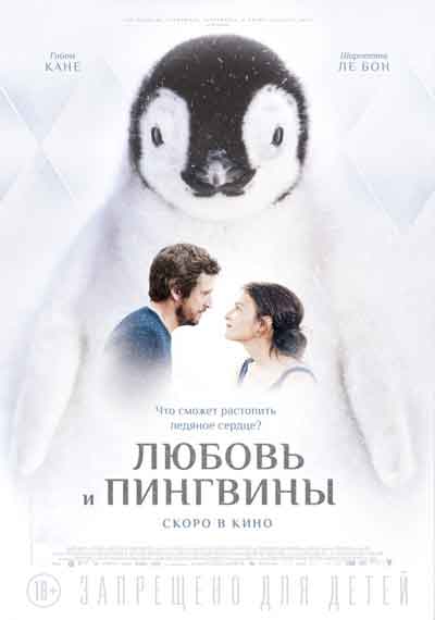 Любовь и пингвины Любовь и пингвины