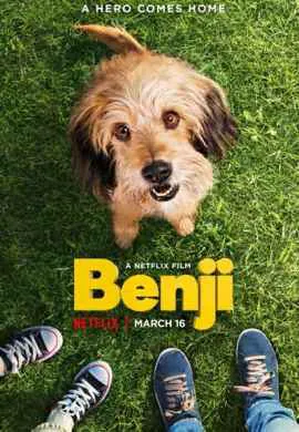 Бенджи Бенджи