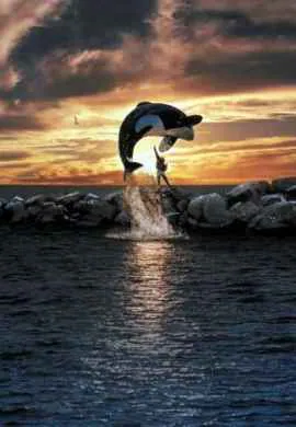 Освободите Вилли