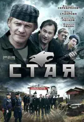 Стая Стая