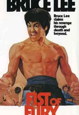 Кулак ярости