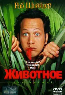 Животное Животное