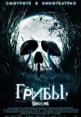 Грибы Грибы