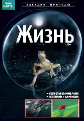 BBC: Жизнь BBC: Жизнь