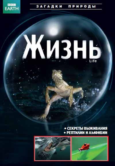 BBC: Жизнь BBC: Жизнь