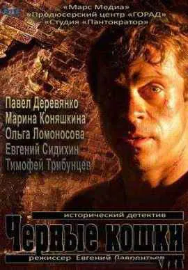 Черные кошки