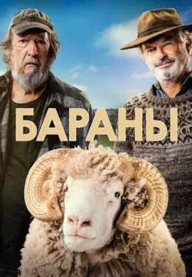 Бараны Бараны