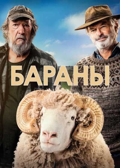 Бараны