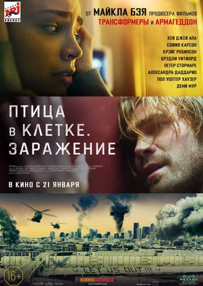 Птица в клетке. Заражение Птица в клетке. Заражение