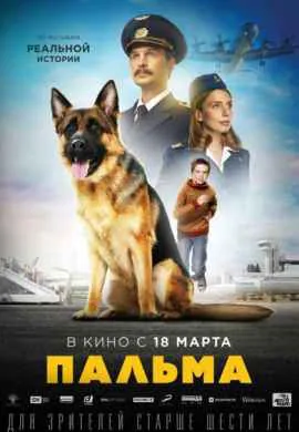 Пальма Пальма