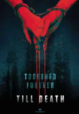 В западне В западне