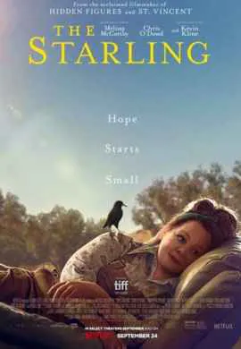 Скворец Скворец