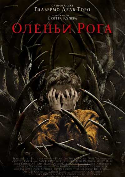 Оленьи рога Оленьи рога
