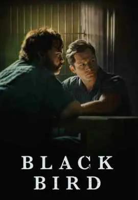 Чёрная птица Чёрная птица