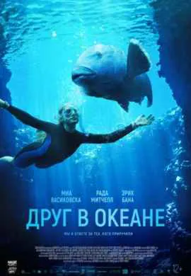 Друг в океане Друг в океане