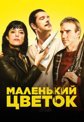 Маленький цветок Маленький цветок