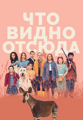 Что видно отсюда Что видно отсюда