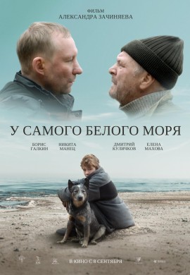 У самого Белого моря У самого Белого моря