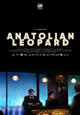 Анатолийский леопард Анатолийский леопард