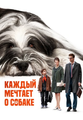 Каждый мечтает о собаке Каждый мечтает о собаке
