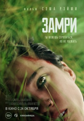 Замри Замри