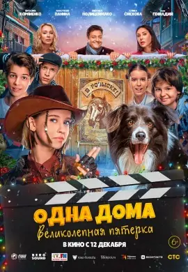 Одна дома: Великолепная пятерка Одна дома: Великолепная пятерка
