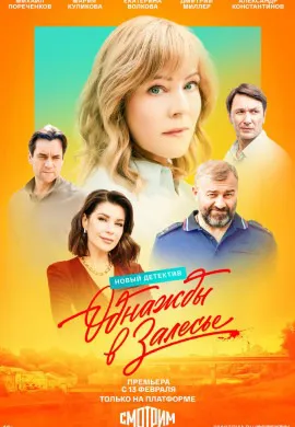 Однажды в Залесье Однажды в Залесье