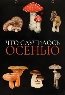 Что случилось осенью Что случилось осенью